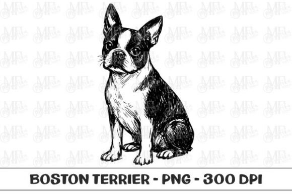 Unlocking Creative Potential with High-Quality Boston Terrier Dog Sketch PNG Assets