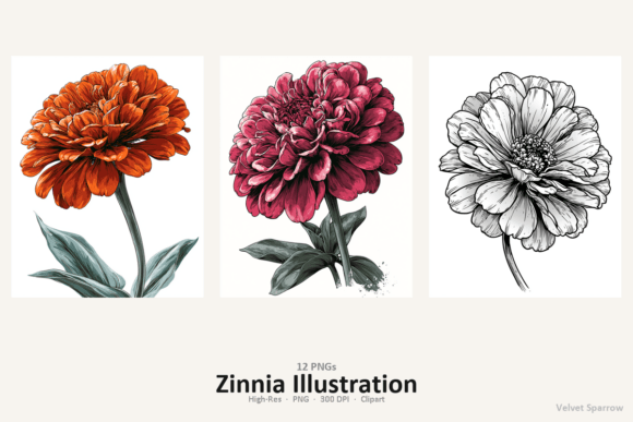 Zinnia Illustration: Bold Graphics for Creators